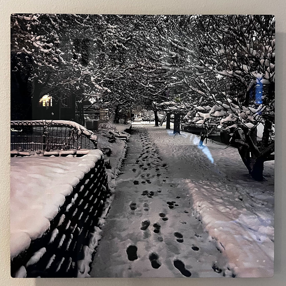 FIRST TRACKS HD Metal Photo Panels - Gloss Finish