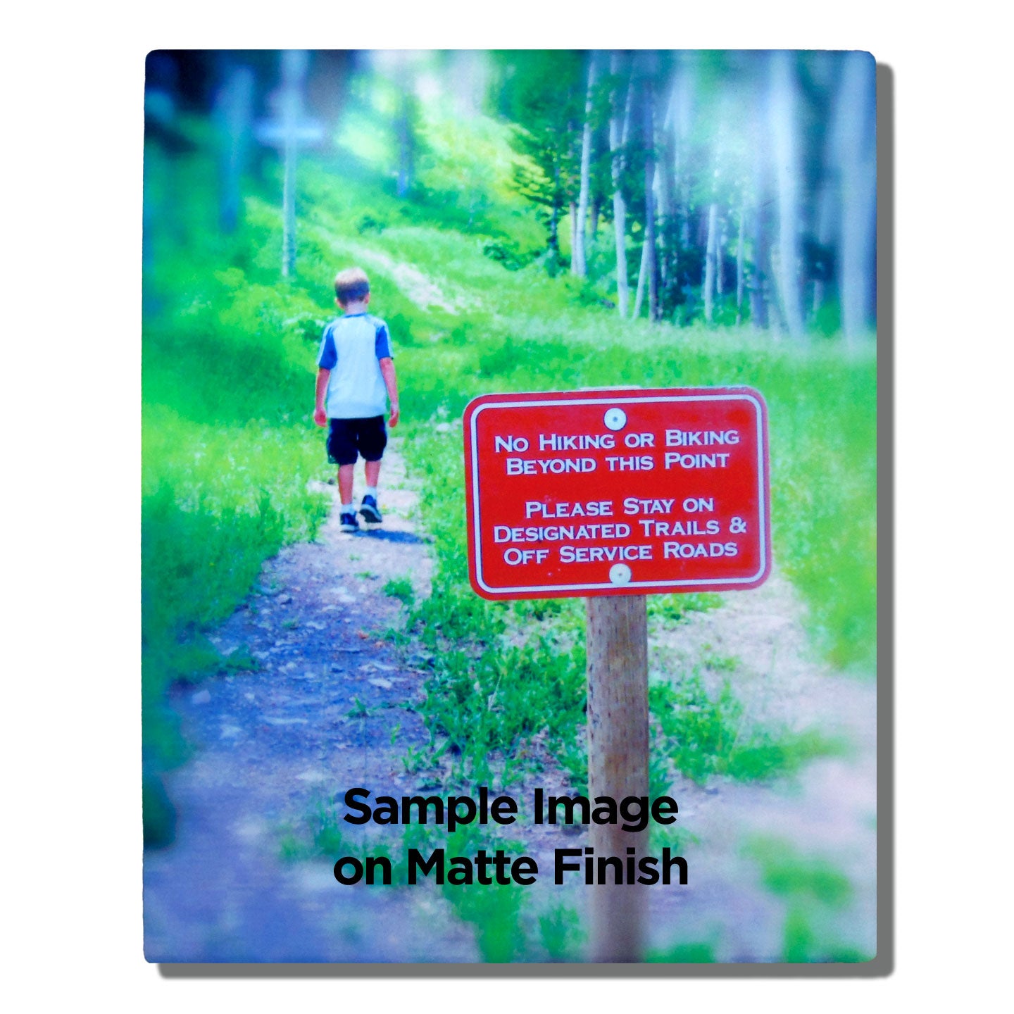 Rectangular Metal Photo Panels Matte Finish